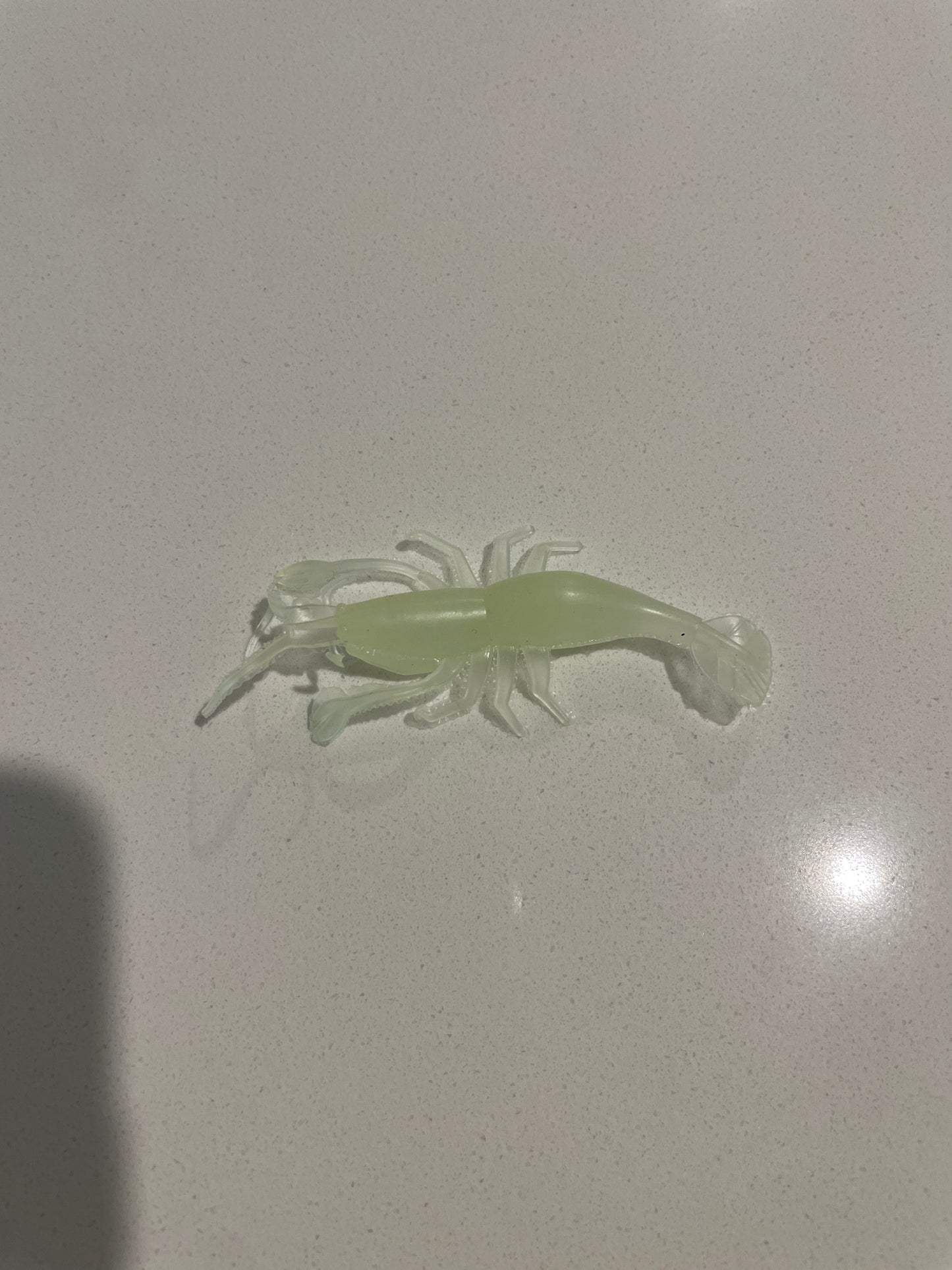 Glow in the dark 3” prawns
